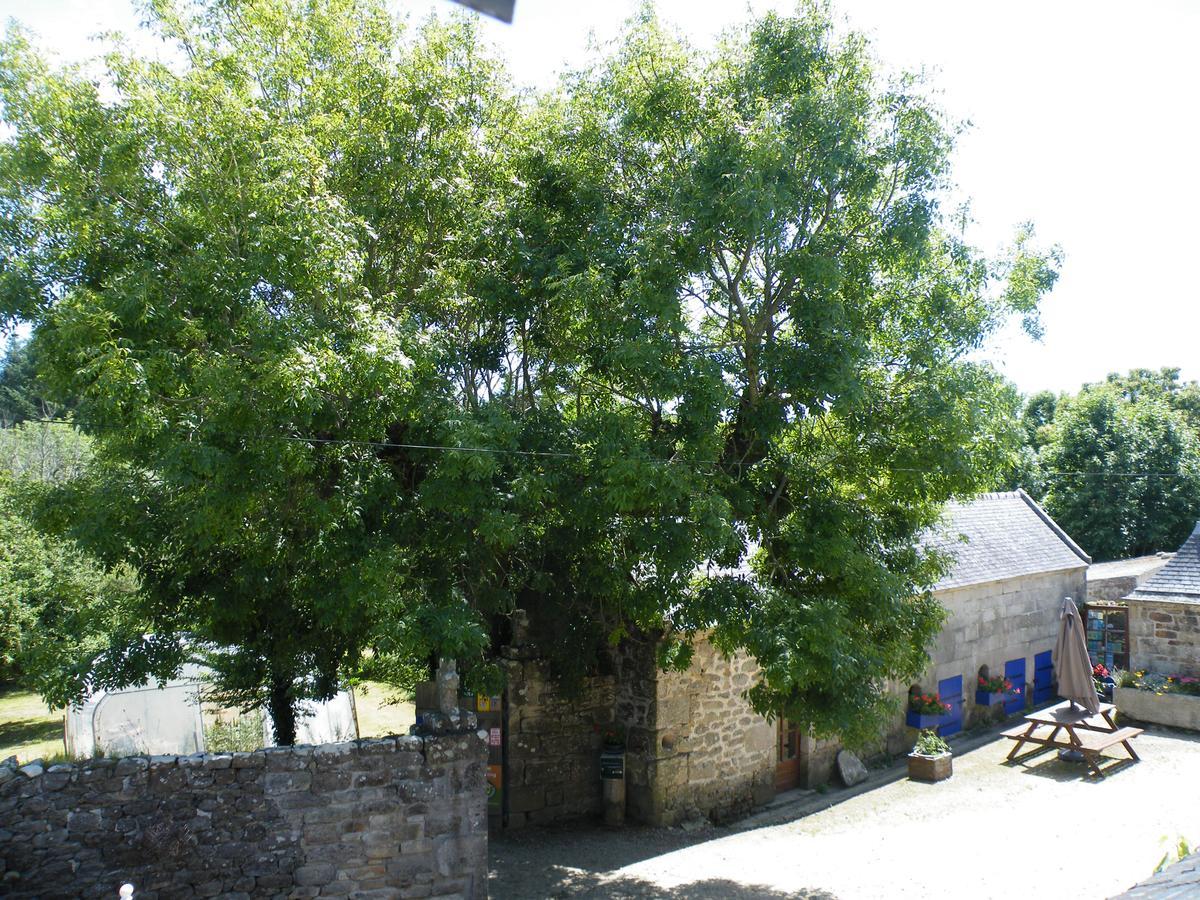 普洛戈La Ferme Du Bout Du Monde住宿加早餐旅馆 外观 照片